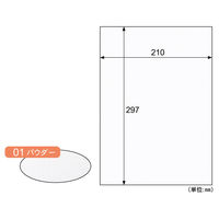 クラッポスター　Ａ４　パウダー CR01S 5冊（直送品）