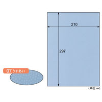 クラッポ小染　はな　うすあい CU07S 5冊（直送品）