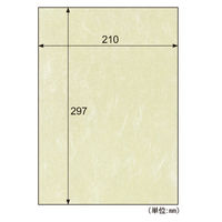 ヒサゴ クラッポ和紙 雲龍 クリーム QW13S 1セット(5袋)