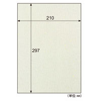 ヒサゴ クラッポ和紙 銀河 金銀入り クリーム QW22S 1セット(5袋)