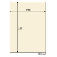 クラッポ和紙　三椏調　きなり QW53S 5袋（直送品）