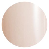 プリジェル カラーＥＸ チュールグレージュ ｎｅｏ ＰＧーＣＥＮ８５１ ３ｇ 1個（直送品）