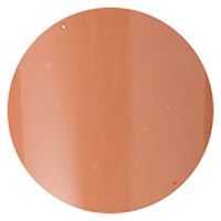 プリジェル カラーＥＸ ミルクティーＲ ＰＧーＣＥＮ２５５ ３ｇ 16528 1個（直送品）