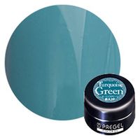 プリジェル カラーＥＸ ナチュラルストーンシリーズ ターコイズグリーン ＰＧーＣＥ８３９ ３ｇ 1個（直送品）