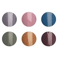 プリジェル カラーＥＸ セブンティーズシリーズ ６色セット ３ｇ×６色 84464 1個（直送品）