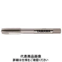 彌満和製作所 高炭素鋼用ポイントタップHC+PO P2 M 2.5 X 0.45 HC+PO 1セット(10本)（直送品）