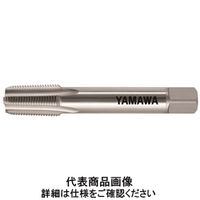 彌満和製作所 PTハンドタップLS 2 Lー100 PT 1/8 ー 28 LS 1セット(2本)（直送品）