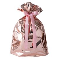 【ラッピング用品】ヘッズ　リボン付きギフトバッグ