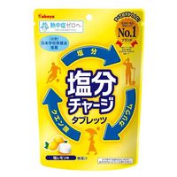 塩分商材 塩分補給 個包装 塩分チャージタブレッツ塩レモン 1袋 カバヤ食品