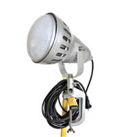 鯛勝産業 LED投光器50W-3C10M アース付 TK-LED510E 1個（直送品）