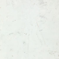 tNrwH ǖʉσpl Ap[W 910×2450mm S04 AP2S04 1(2)iij