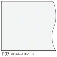 フクビ化学工業 物件用浴室材天井・壁用親水バスパネルBTj