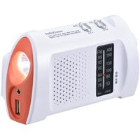 オーム電機 AudioComm AM/FM木製ラジオ ワイドFM対応 RAD-T556Z（直送 