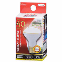 ヤザワコーポレーション R50レフ形LED電球 E17口金 40W相当 昼白色 