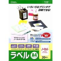 オーム電機 マルチラベル A4（ノーカット）×20枚 PA-L0120（直送品）