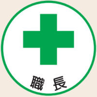 トーアン ヘルステ丸97 職長 07ー491 1セット(50枚)（直送品）