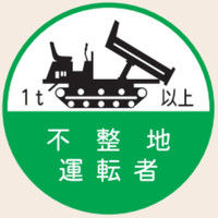 トーアン ヘルステ丸121 不整地運転者 35φ 07ー501 1セット(50枚)（直送品）