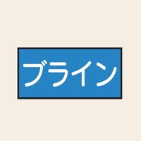 トーアン 配管 水用40 特大 ヨコ ブライン 25ー750 1セット(20枚:10枚×2組)（直送品）