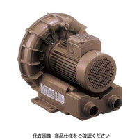 e OuVFZ[AF^(10~60type)OW`(tWt)VFZ101AF VFZ101AF 1iij