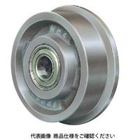 永瀬工場 ボールベアリング入片ツバ車輪LC100 LC100-S45C 1個（直送品）