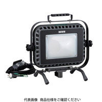 畑屋製作所 ハタヤ 軽便LED投光器 LEF-N2005KD 1個（直送品）