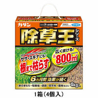 【園芸用品】オールキラー粒剤4kg フマキラー 1個（わけあり品）