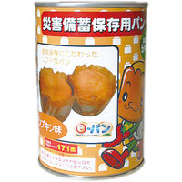 ヨコエ e-パン・パンプキン100g 100603 1ケース（24缶入）（直送品）