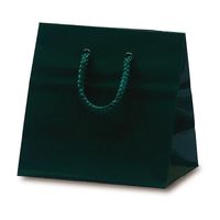 ベルベ 手提げ 紙袋 リトルバッグ ダークグリーン 1045 1包：100枚（10×10）（直送品）