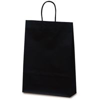 ベルベ 手提げ 紙袋 マットバッグ L ブラック 1070 1包：50枚（10×5）（直送品）