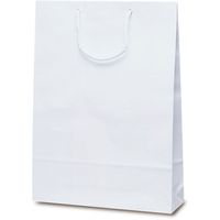 ベルベ 手提げ 紙袋 エクセルバッグ ホワイト 1100 1包：50枚（10×5）（直送品）