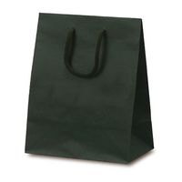 ベルベ 紙袋 手提袋 T-2 カラークラフト グリーン 1026 1セット(100枚:10枚×10袋)