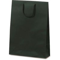 ベルベ 紙袋 1034 手提袋 T-8 カラークラフト グリーン 1034 1包：100枚（10×10）（直送品）