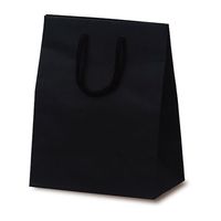 ベルベ 紙袋 1037 手提袋 T-2 カラークラフト ブラック 1037 1包：100枚（10×10）（直送品）