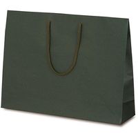 ベルベ 紙袋 1042 手提袋 T-Y カラークラフト グリーン 1042 1包：100枚（10×10）（直送品）