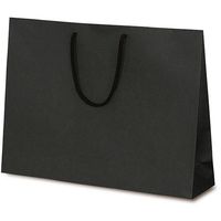 ベルベ 紙袋 手提袋 T-Y カラークラフト 1包：100枚（10×10）