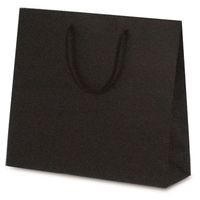 ベルベ 紙袋 手提袋 T-6 カラークラフト ブラウン 1052 1セット(100枚:10枚×10袋)