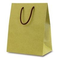 ベルベ 紙袋 1055 手提袋 T-2 カラークラフト 抹茶 1055 1包：100枚（10×10）（直送品）