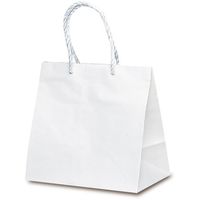 ベルベ 紙袋 1405 手提袋 グレートバッグ No.5 1405 1包：50枚（10×5）（直送品）