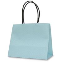 ベルベ 紙袋 手提袋 テミニン ベビーブルー 1469 1包：100枚（10枚入×10パック）（直送品）
