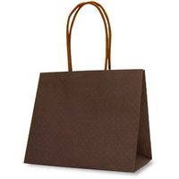 ベルベ 紙袋 手提袋 テミニン 1包：100枚（10枚入×10パック）