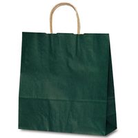 ベルベ 紙袋 1664 自動紐手提袋 T-6 カラー（緑） 1664 1包：200枚（50×4）（直送品）