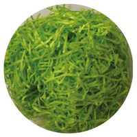 ベルベ ラッピング 紙緩衝材 1kg詰パッキン グリーン 5416 1包：3個（直送品）