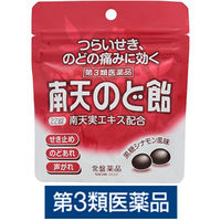 南天のど飴 黒糖シナモン風味 パウチタイプ 22錠 常盤薬品工業　せき 喉のあれ・はれ・不快感 のどの痛み 声がれ【第3類医薬品】