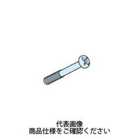 タカチ電機工業 DLS型DPCP用スペアーカバースクリュー 無処理 DLSー1 1本 DLS-1 1セット(50本)（直送品）