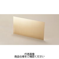 タカチ電機工業 RP型リン青銅板 RPー3 1枚 1セット(7枚)（直送品）