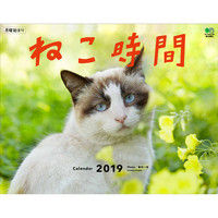 えい出版社 カレンダー2019 ねこ時間 9105158（直送品）