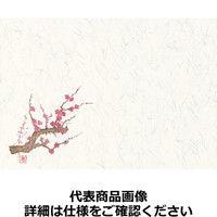 丸幸製紙 四季壊紙 テーブルマット（100枚入）No.203 うめ QKIM501（取寄品）