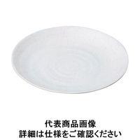 マイン メラミンウェア 白丸皿Φ24 M11-101 RMI6401（取寄品）