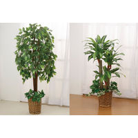 ファミリー・ライフ 人工観葉植物 2点セット（ベンジャミン&幸福の木） 幅700×奥行200×高さ1400mm（直送品）
