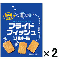 【アウトレット】フライドフィッシュソルト味 1セット（50g×2袋）